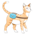 Refdavypicnobag.png